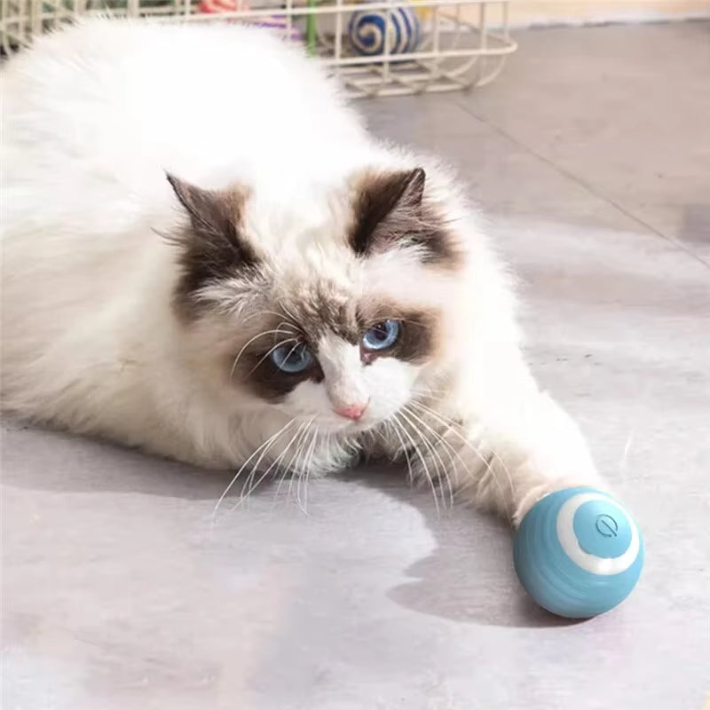 Cat Interactive Ball Training Self-Moving Kitten Electric Cat Ball Toys Electronic Automatic Rolling Magic Ball Toys for Cat